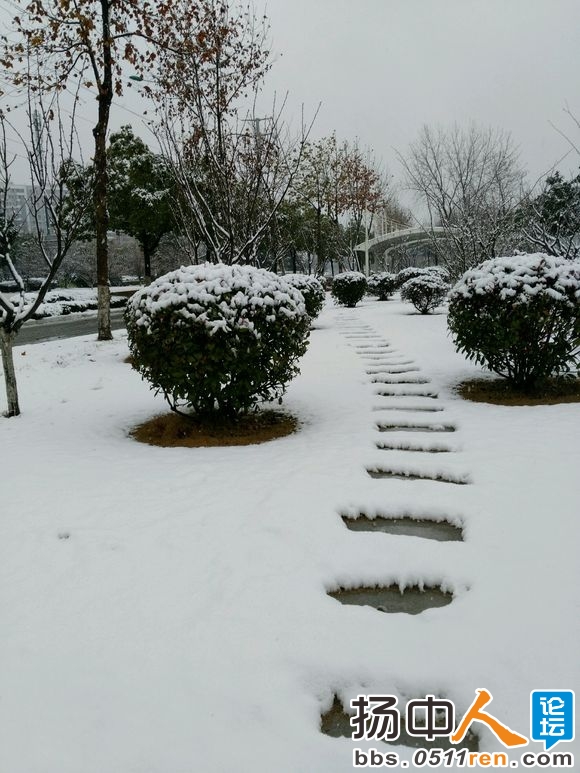 扬中2018年第一场雪